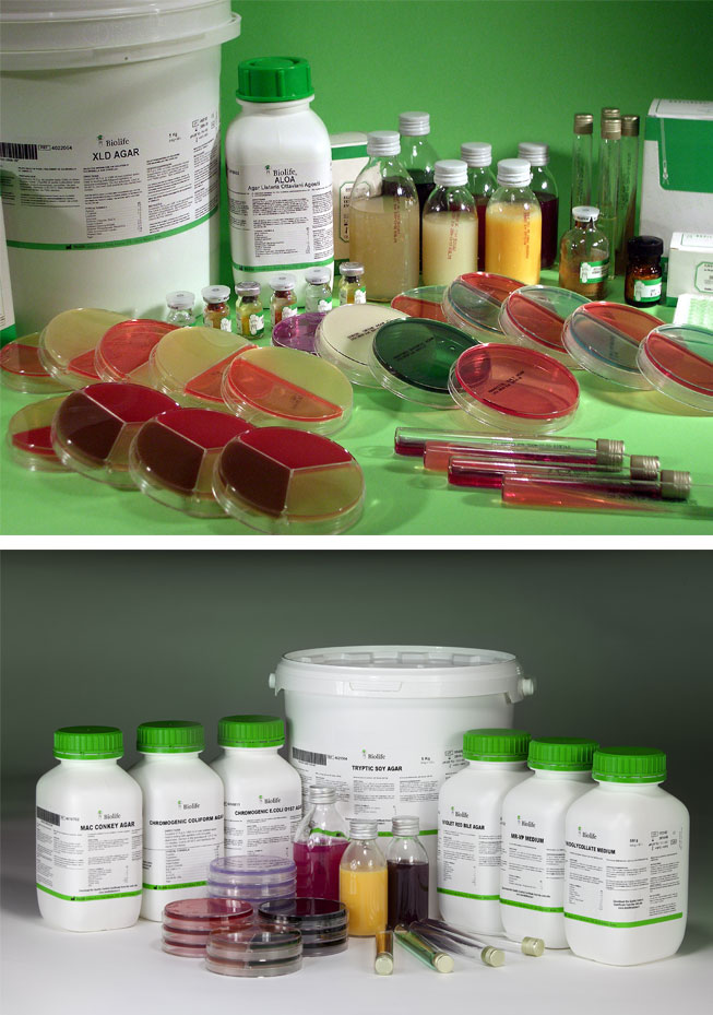 WHX LABS Dubai 2026 | Biolife Italiana S.r.l. | 