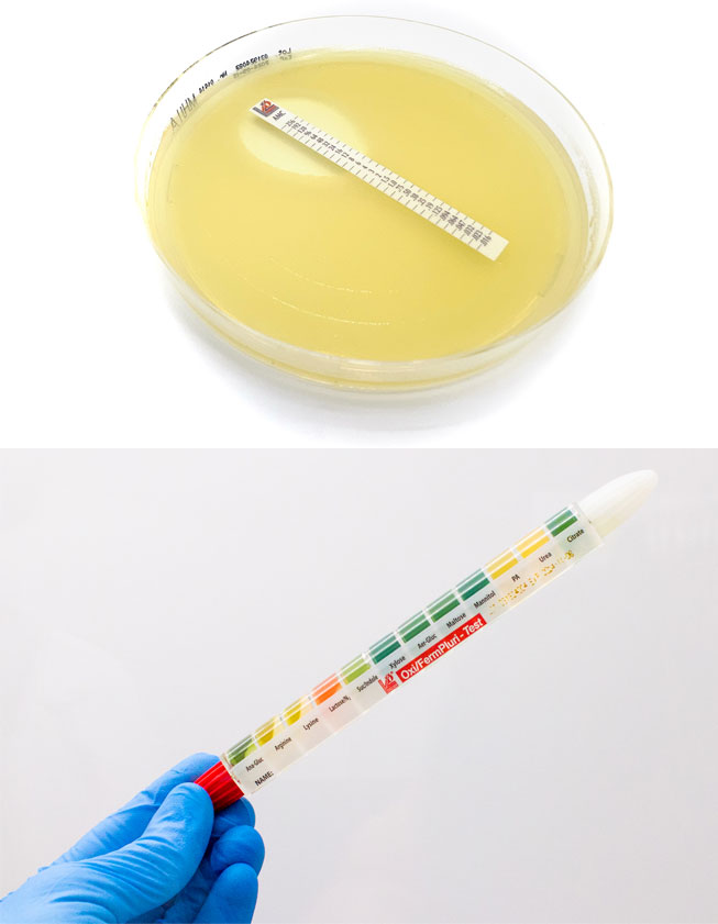 WHX LABS Dubai 2026 | Liofilchem srl | 
